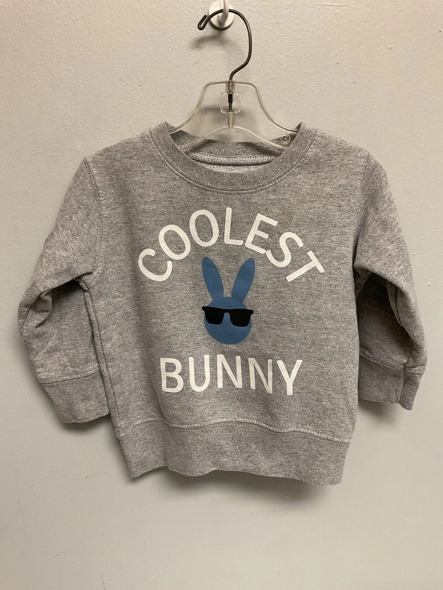 Size 12M Gray Cotton Bunny Infant Boys Sweaters & Vests