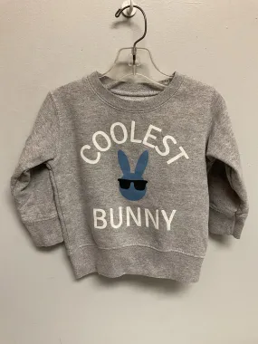 Size 12M Gray Cotton Bunny Infant Boys Sweaters & Vests
